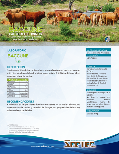 BACCUNE PASTOREO BOVINOS