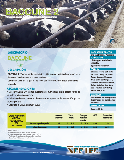 Baccune 2